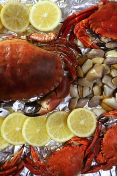 Crabs tellin clams and lemon seafood still life