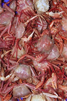 crab from mediterranean sea catch on market background texture