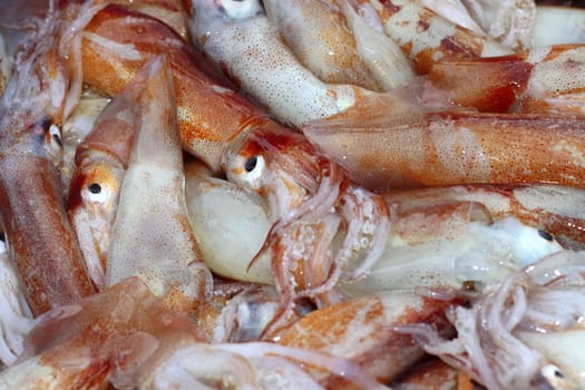 totena mediterranean squid seafood market background pattern
