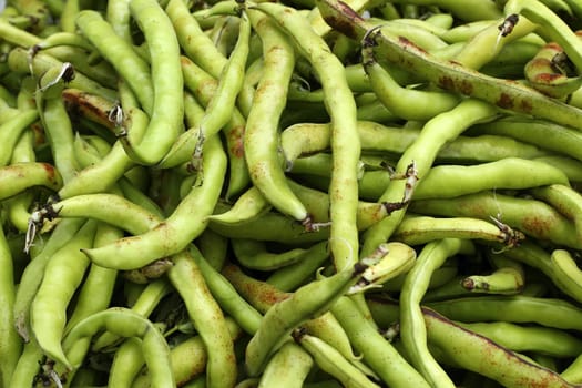 lima beans vegetables food texture pattern background