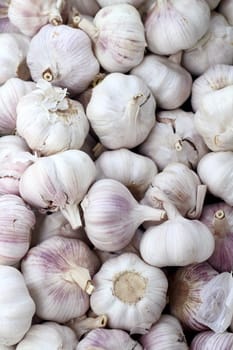 garlic pattern background on market in spain