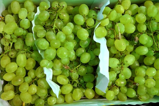 muscat moscatel grape fruit clusters in market