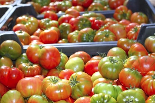 tomatoes in market raff tomato vegetable food from Spain