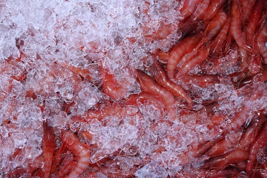 ice and mediterranean shrimp on market pattern background