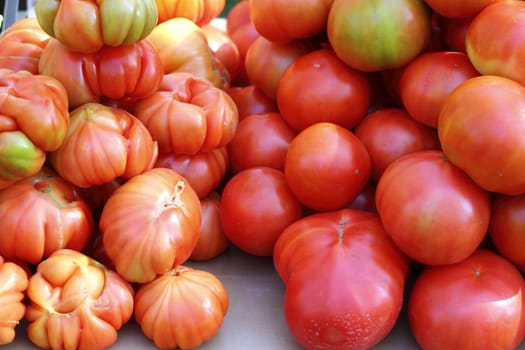 tomatoes in market raff tomato vegetable food from Spain