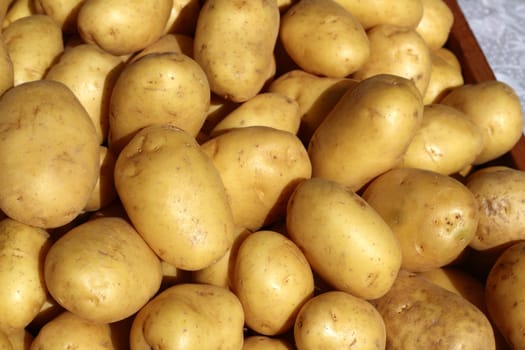potatoes many in market stand yellow brown