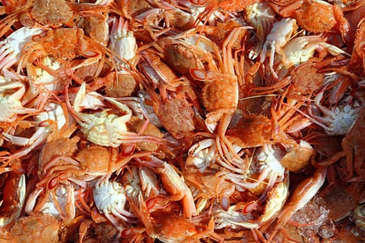 Mediterranean red crab pattern seafood market texture