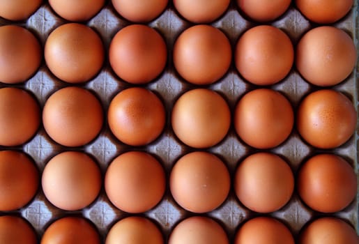 hen eggs rows pattern box food background