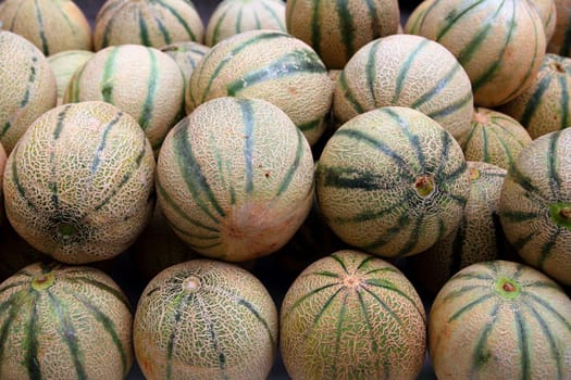 Cantaloupe rock melon muskmelon spanspek stacked on market
