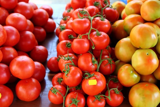 Tomatoes stacked in vegetables market different species