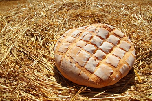 Bread bun round on golden wheat straw background