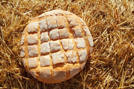 Bread bun round on golden wheat straw background