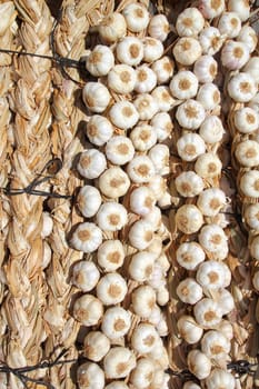 garlic bundles strings food texture background pattern