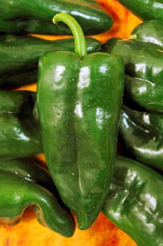 Poblano chili peppers chile Capsicum annuum