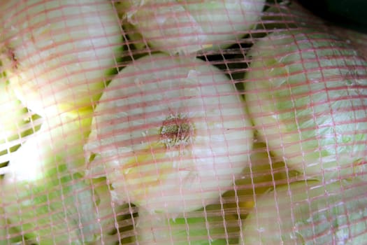 many onion view from sack net in market