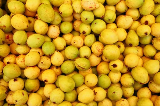 delicious mature yellow guava fruit from mexico