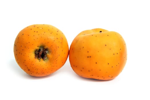 Tecojote winter fruit called Crataegus pubescens stipulacea