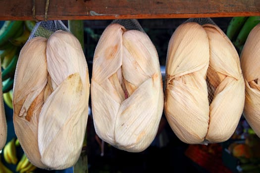 corn cob leaves called in mexico totomoztle totomoxtle