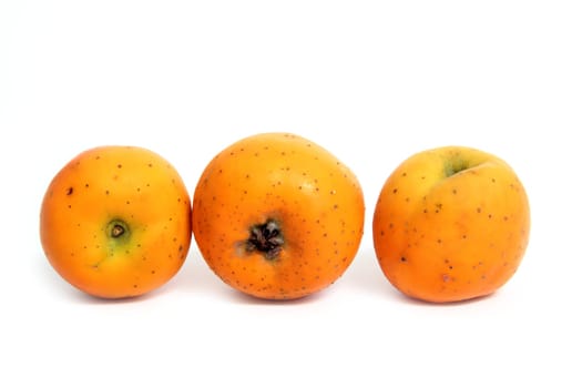 Tecojote winter fruit called Crataegus pubescens stipulacea