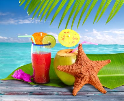 coconuts cocktails straw tropical caribbean beach with starfish