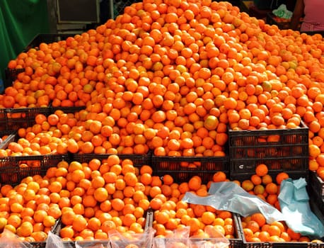 orange tangerines mound in citrus fruit market