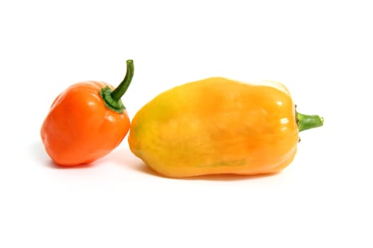 Habanero Capsicum chili hottest pepper in the world from Mexico