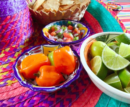Mexican sauces pico de gallo habanero chili sauce Mexico spices