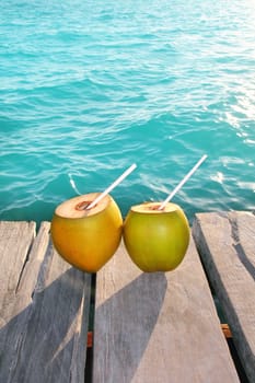 coconuts cocktail palm tree leaf in Caribbean tropical sea