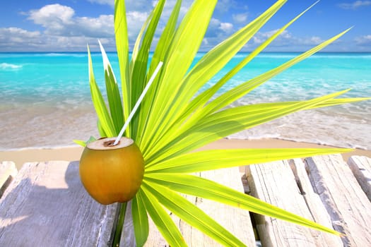 fresh coconut in caribbean sea wood pier tropical topic with chit palm leaf