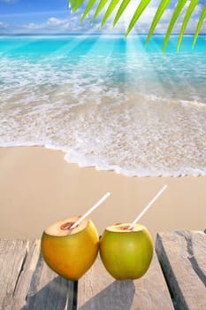 Caribbean paradise beach coconuts cocktail palm trees