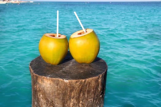 fresh two coconuts juice cocktail water straws in caribbean sea trunk