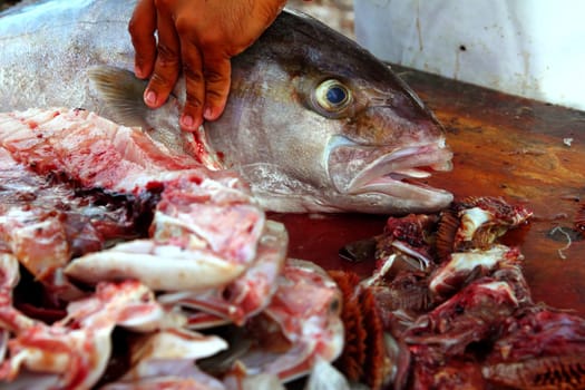 fishmonger hands preparing amberjack fish fillet on wood table