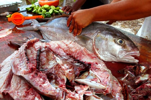 fishmonger hands preparing amberjack fish fillet on wood table