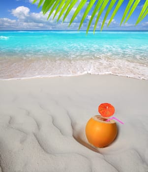 coconut on Caribbean beach straw juice cocktail turquoise sea