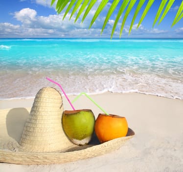 Coconuts in Caribbean beach on mexico sombrero hat tropical turquoise