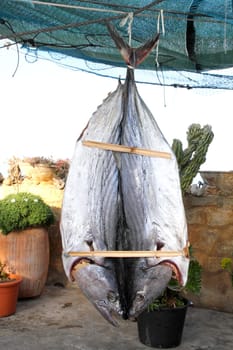 bonito tuna salted dried fish Mediteraranean sarda style