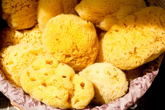marine yellow bath sponge pattern texture background