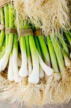 bunch of green garlic fresh raw vegetables