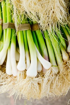 bunch of garlic fresh raw vegetables healthy food