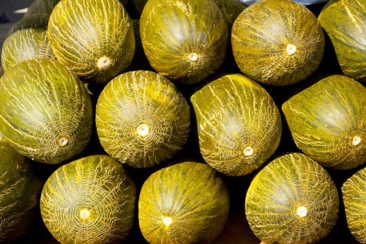 Crhistmas melon or Santa Claus Piel de Sapo fruit