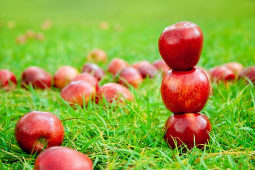 three red apples stacked in grass field with many in background
