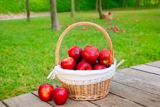 basket of red apples on wood floor with green field background
