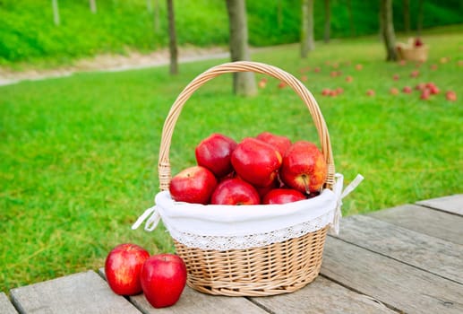 basket of red apples on wood floor with green field background