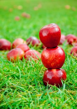 three red apples stacked in grass field with many in background