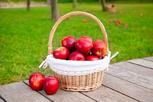 apples in basket on a grass trees field in red color
