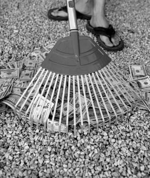 Cleaning black dolar money with rake, metaphor of abundance