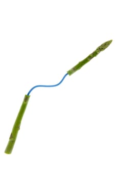 genetic engineering food, asparagus, vegetables investigation over white