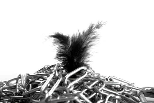 Steel chain mess and soft feather contrast, white background studio shot