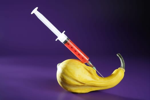 Bio genetics research of food , modified pumpkin with syringe