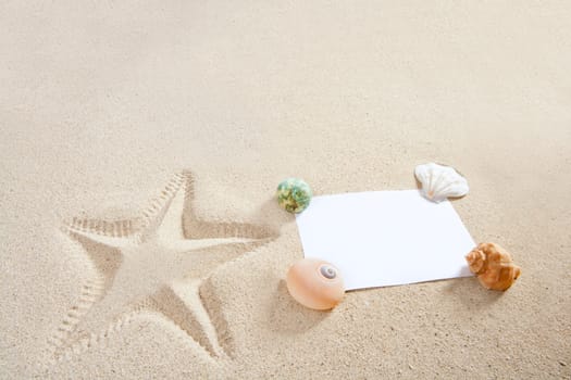 blank paper on white sand beach with shells and starfish print like a summer vacation concept
